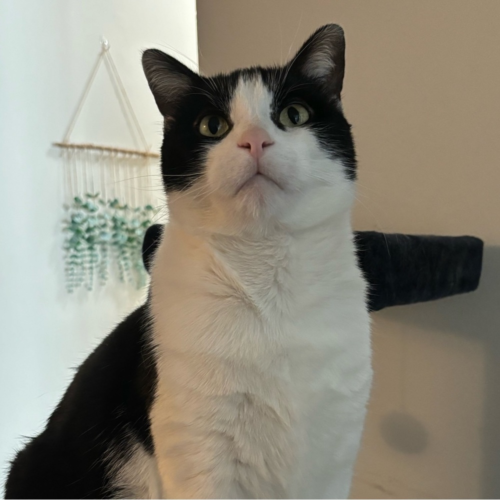 Meet your Posher, Natalie